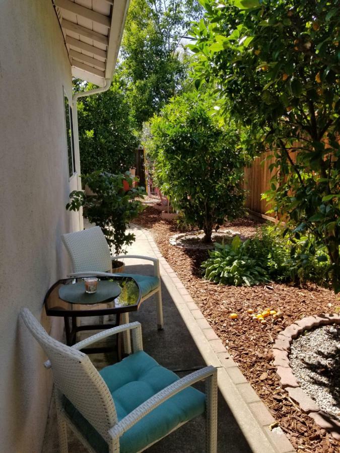 Villa Luxury 2Br/1Ba Oasis In San Jose Ca Exterior foto